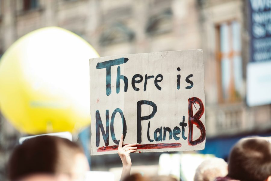 ecoconception